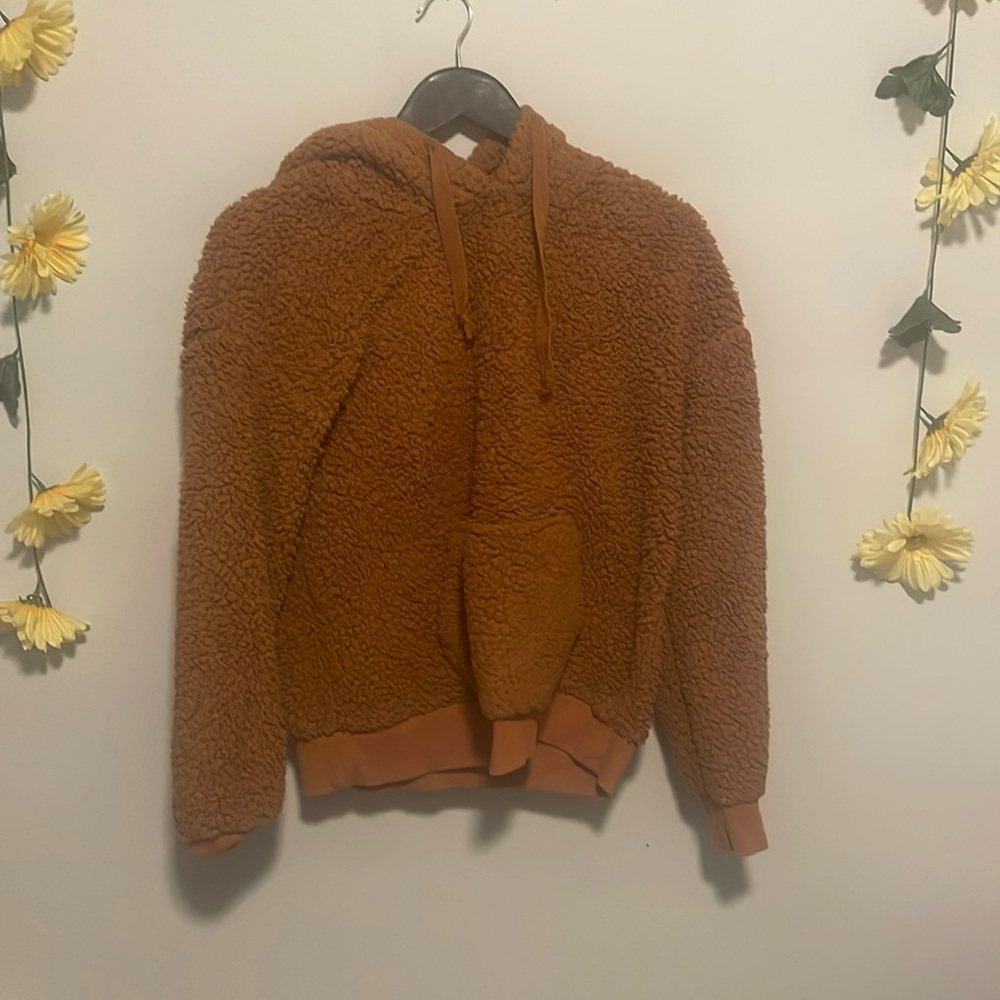 teddy sweater